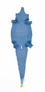 ナイルクロコダイル　マットローヤルブルー