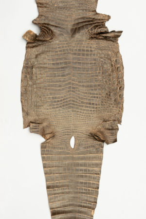 ナイルクロコダイル　マットゴールドブラウン　57