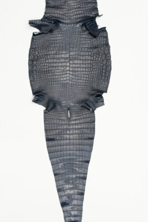 ナイルクロコダイル　サファイアブルー 　44