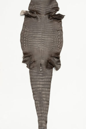 ナイルクロコダイル　ブラウン 　36