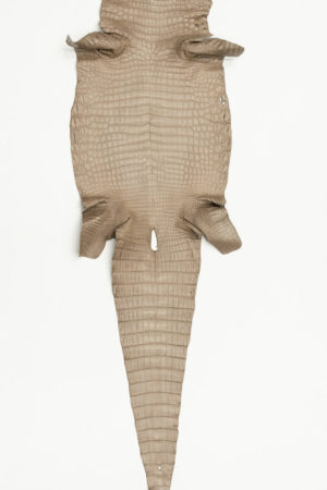 ナイルクロコダイル　グレージュ 　34