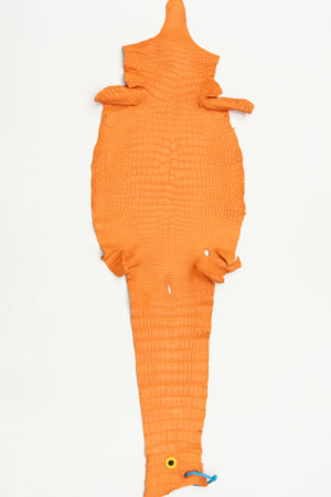 ポロサスクロコダイル　オレンジ　36