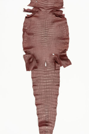 ポロサスクロコダイル　ボルドー　40