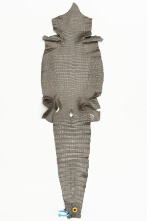 ポロサスクロコダイル　グレー　33