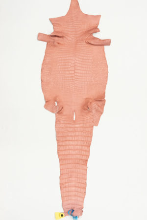 ポロサスクロコダイル　ピンクベージュ　37