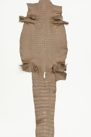 ポロサスクロコダイル　オーク　38