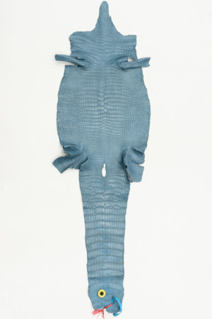 ポロサスクロコダイル　ブルージーン　34