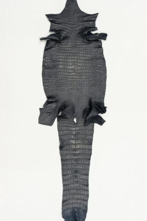 ポロサスクロコダイル　ネイビー　33