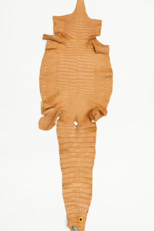 ポロサスクロコダイル　キャメル　37