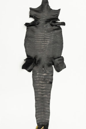 ポロサスクロコダイル　ブラック　33