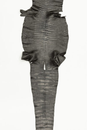 ポロサスクロコダイル　ダークブラウン　39