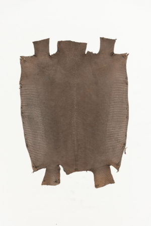 リザード革　フロントカット　マットブラウン　23