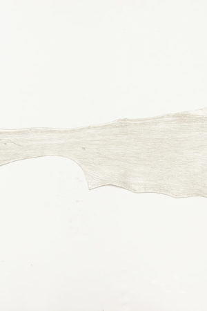 シャーク革　パールシルバー　19ds