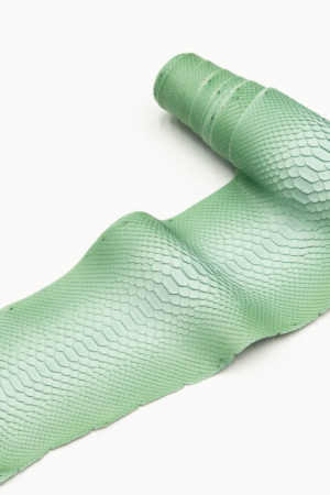 パイソン革　バックカット　グリーングラデーション　26