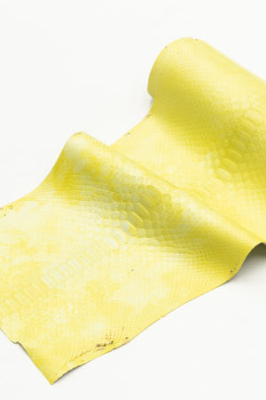 パイソン革　バックカット　イエロータイダイ　25