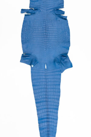 ポロサスクロコダイル　ロイヤルブルー　41