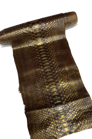 パイソン革　バックカット ブラウン×ゴールド　23