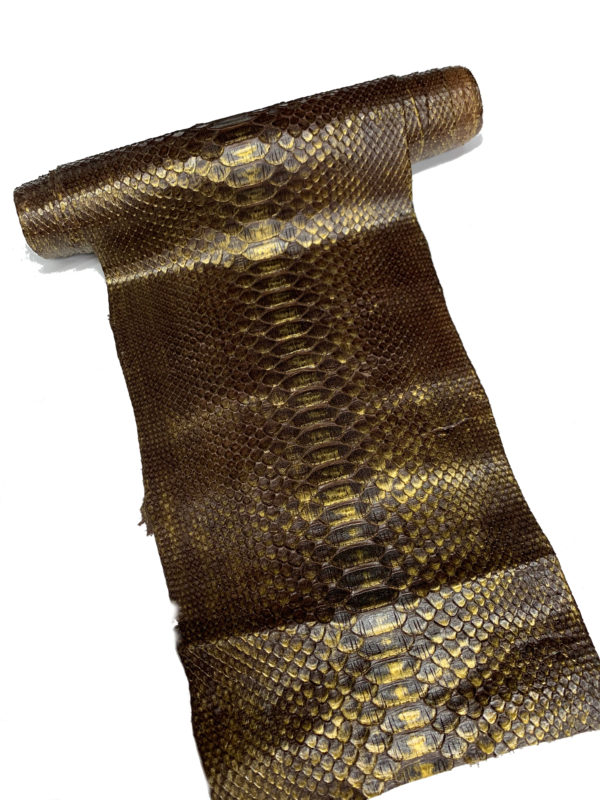 220㎝ブラウン×ゴールド(2)