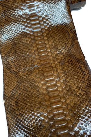 パイソン革　バックカット グレージングブラウン　28