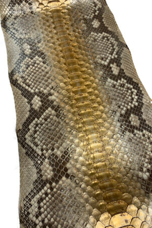 パイソン革　バックカット ゴールドグラデーション　33