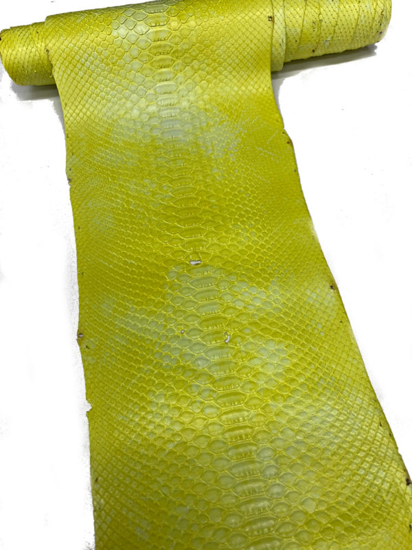 タイダイイエロ230cm