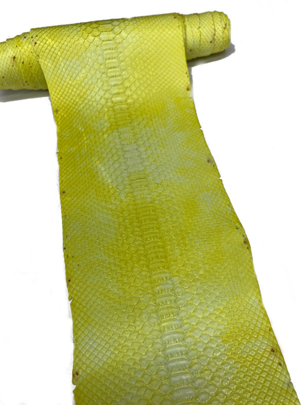 タイダイイエロ270cm