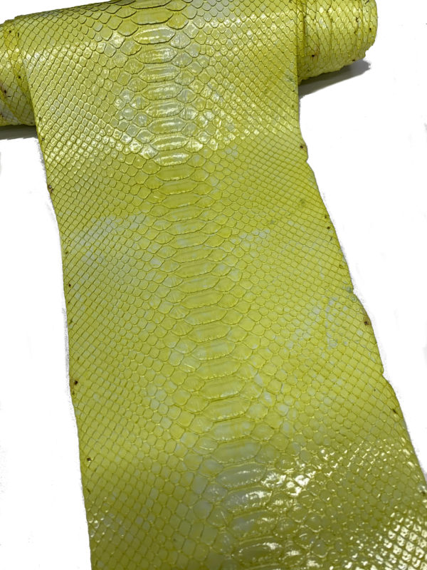 タイダイイエログレージング290ｃｍ