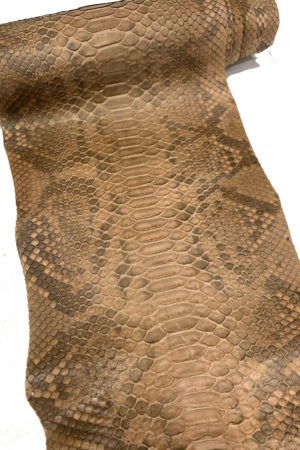 パイソン革　バックカット 腑有マットブラウン　31