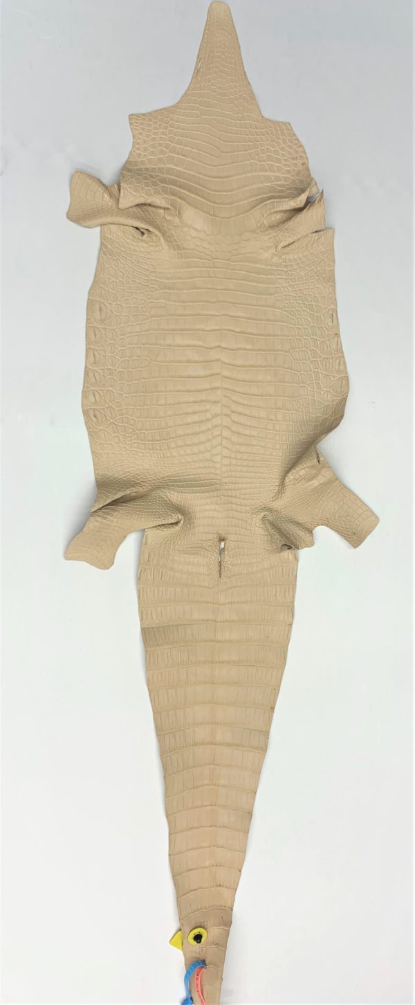 2020-09-05 10.09.25 (2)