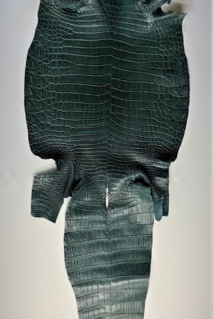 ナイルクロコダイル　　　マット　ダークグリーン　33