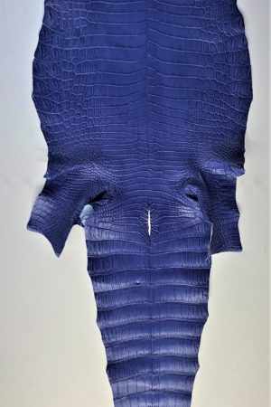 ナイルクロコダイル　　　マット　ルマンブルー　34