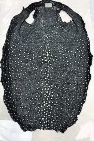 #23 エイ革　イバラエイ（梅花皮・スタースティングレイ）　ブラック     16インチ