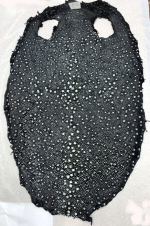 #25 エイ革　イバラエイ（梅花皮・スタースティングレイ）　ブラック     17インチ