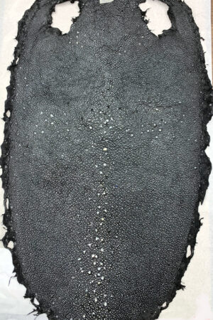 #26 エイ革　イバラエイ（梅花皮・スタースティングレイ）　ブラック     18インチ