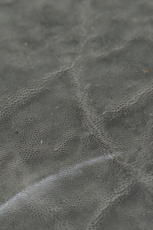 ゾウ革　マットグレー