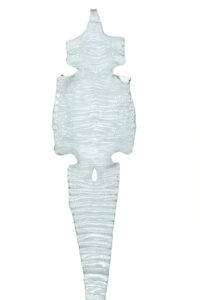 ナイル ミレニアムライトグレー 36