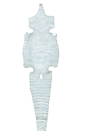 ナイル ミレニアムライトグレー 36