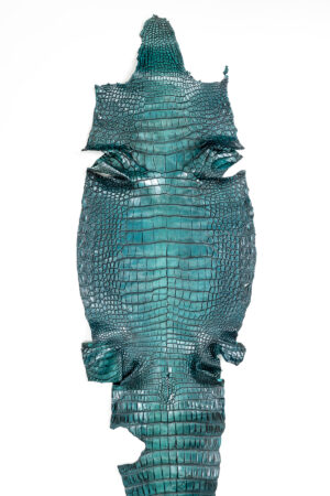 ラージ ATグラデーショングリーン 42