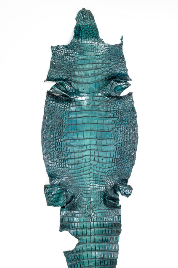 ラージ ATグラデーショングリーン 42