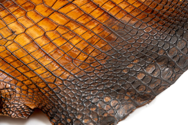 ラージ ATグラデーションブラウン 43