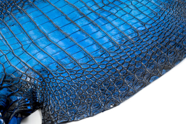 ラージ ATグラデーションブルー 44