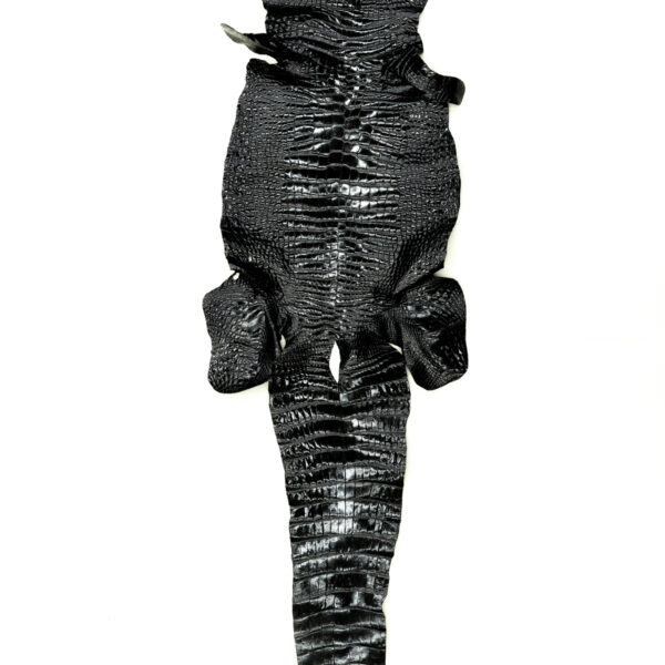 ポロサス シャイニングブラック