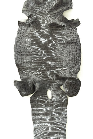 シャイニンググレー