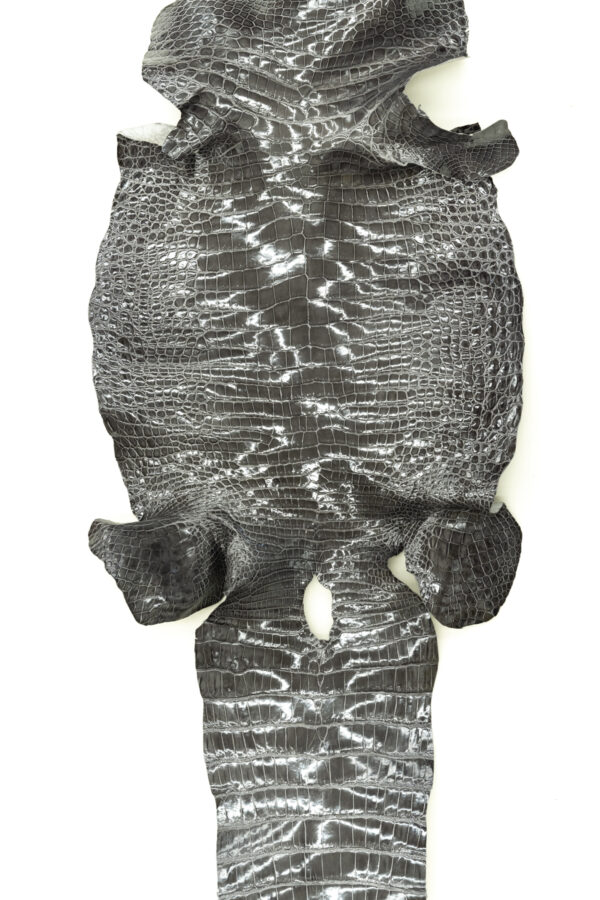 シャイニンググレー