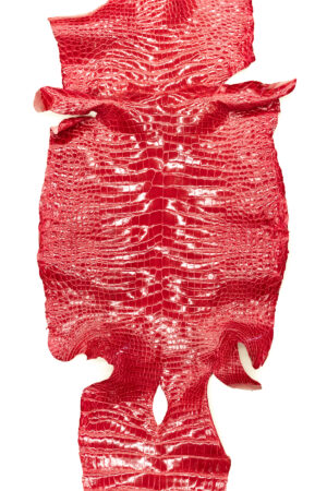 ポロサス シャイニングレッド 42