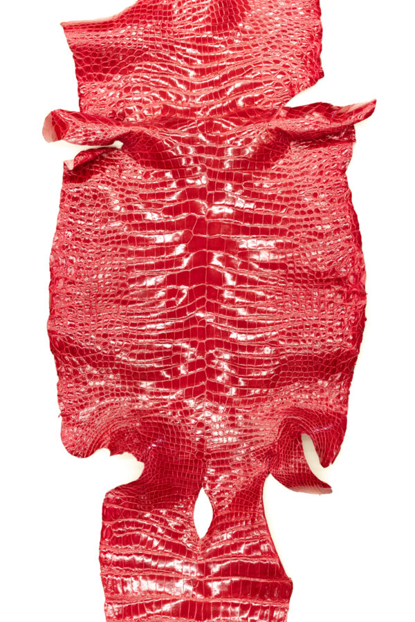 ポロサス シャイニングレッド 42