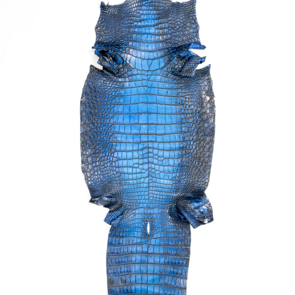 ラージ ATグラデーションブルー 44