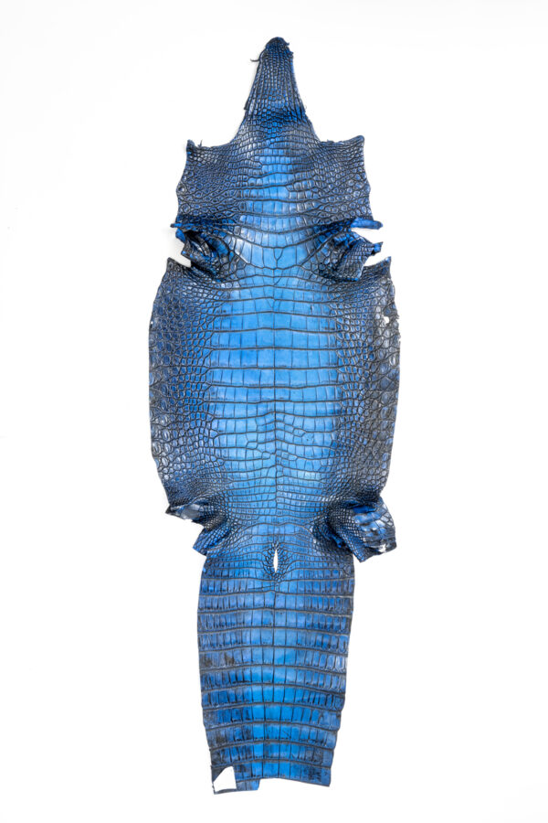 ラージ ATグラデーションブルー 44