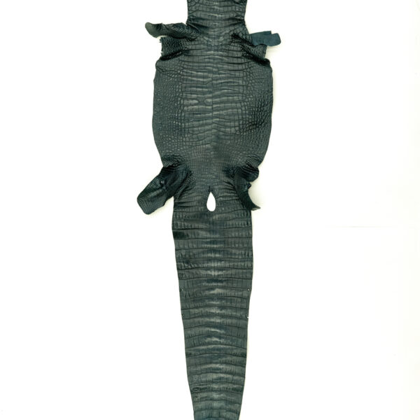 アリゲーター マットグリーン