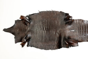 ポロサス ATブラウン 32